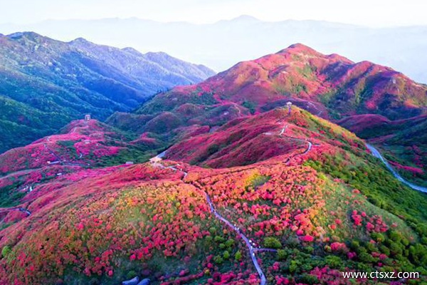 西藏什么時候去西藏旅游好